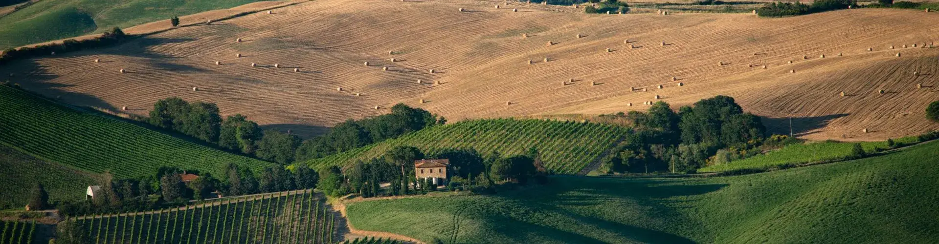 Vivi la tua esperienza in Toscana