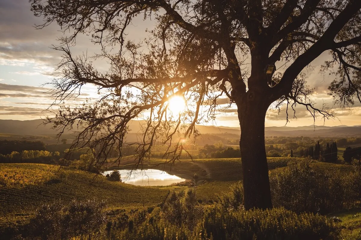 Perché prenotare con Tuscan Secret Experience