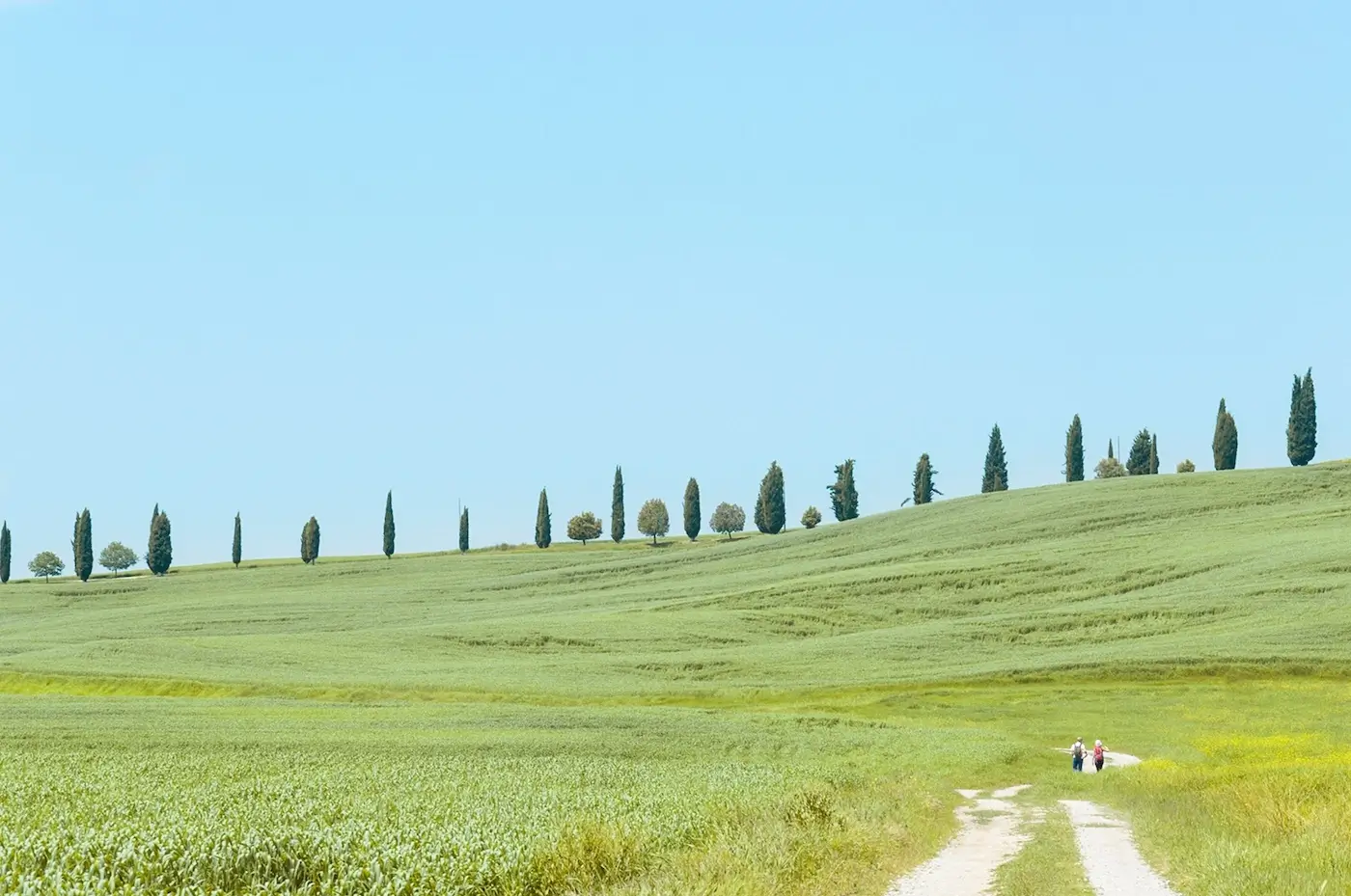 Chi siamo