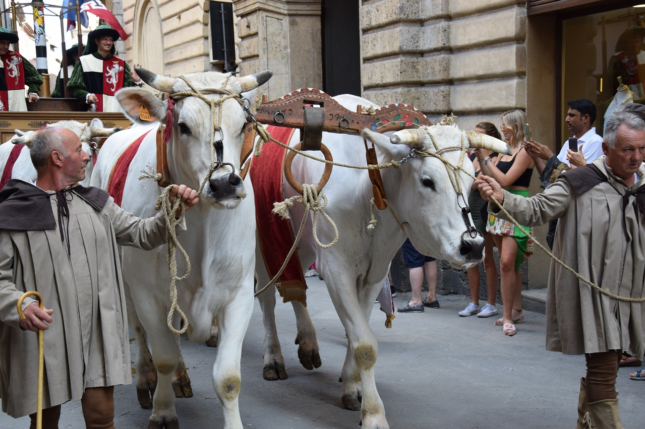 Siena e la tradizione del Palio: tour tra le Contrade storiche