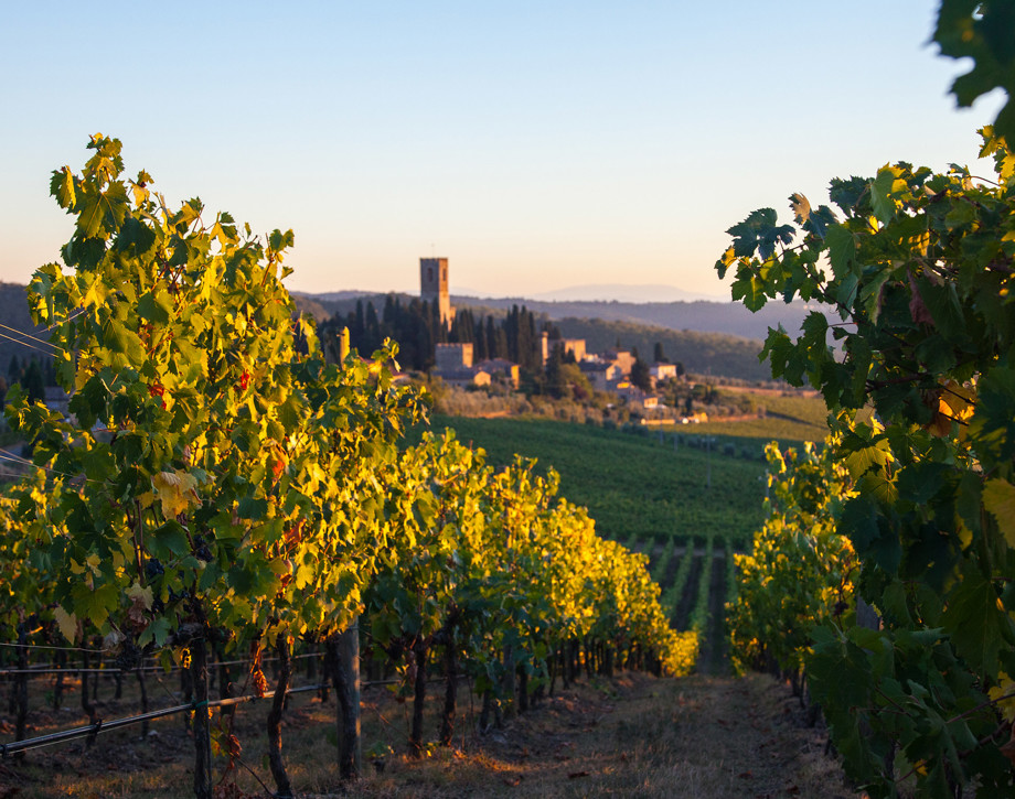 Antinori Wine Experience: Lusso & Tradizione