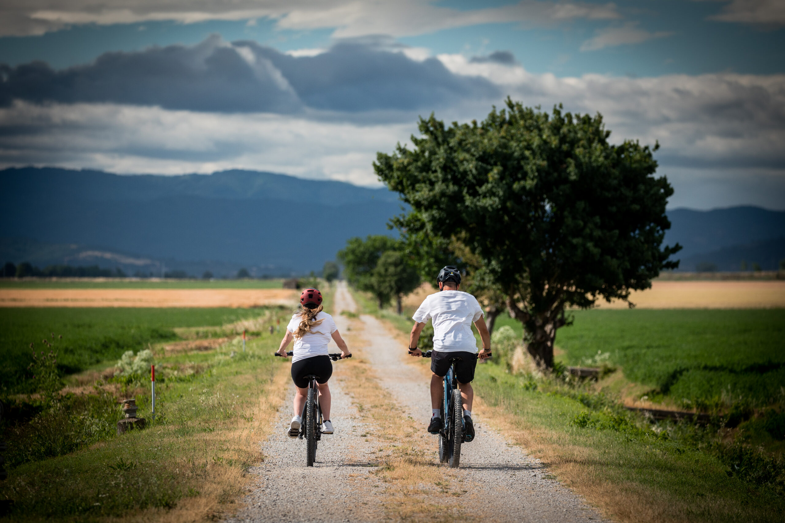 Valdichiana – eBike tour con degustazione di vini e pranzo in Val di Chiana