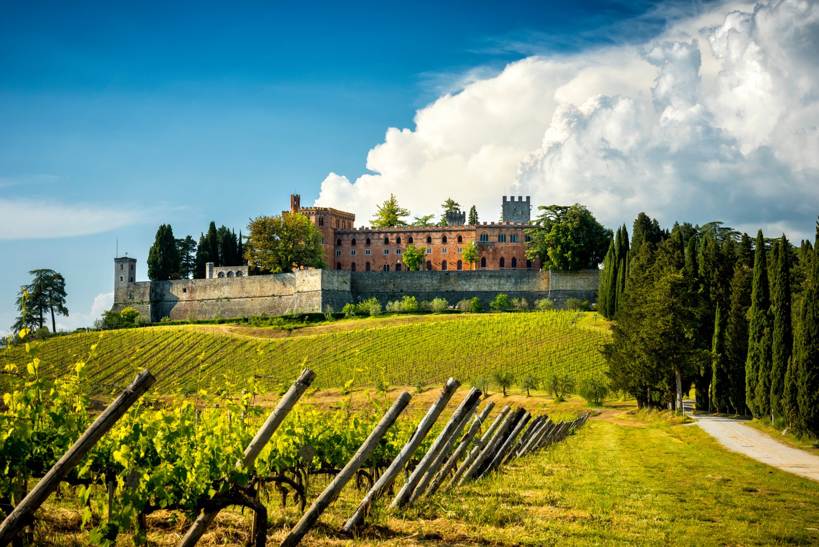 I Castelli del Chianti Classico 