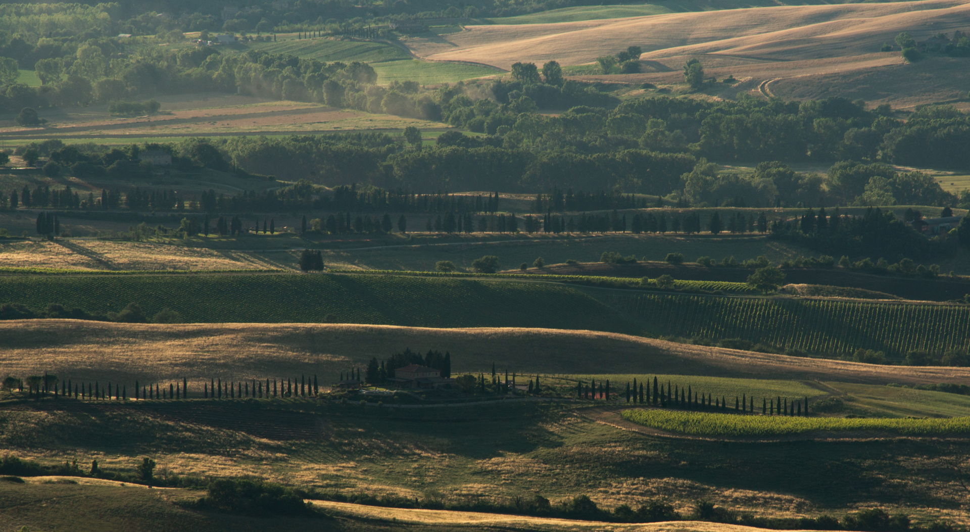 Tasting wine in Tuscany: discovering two wineries