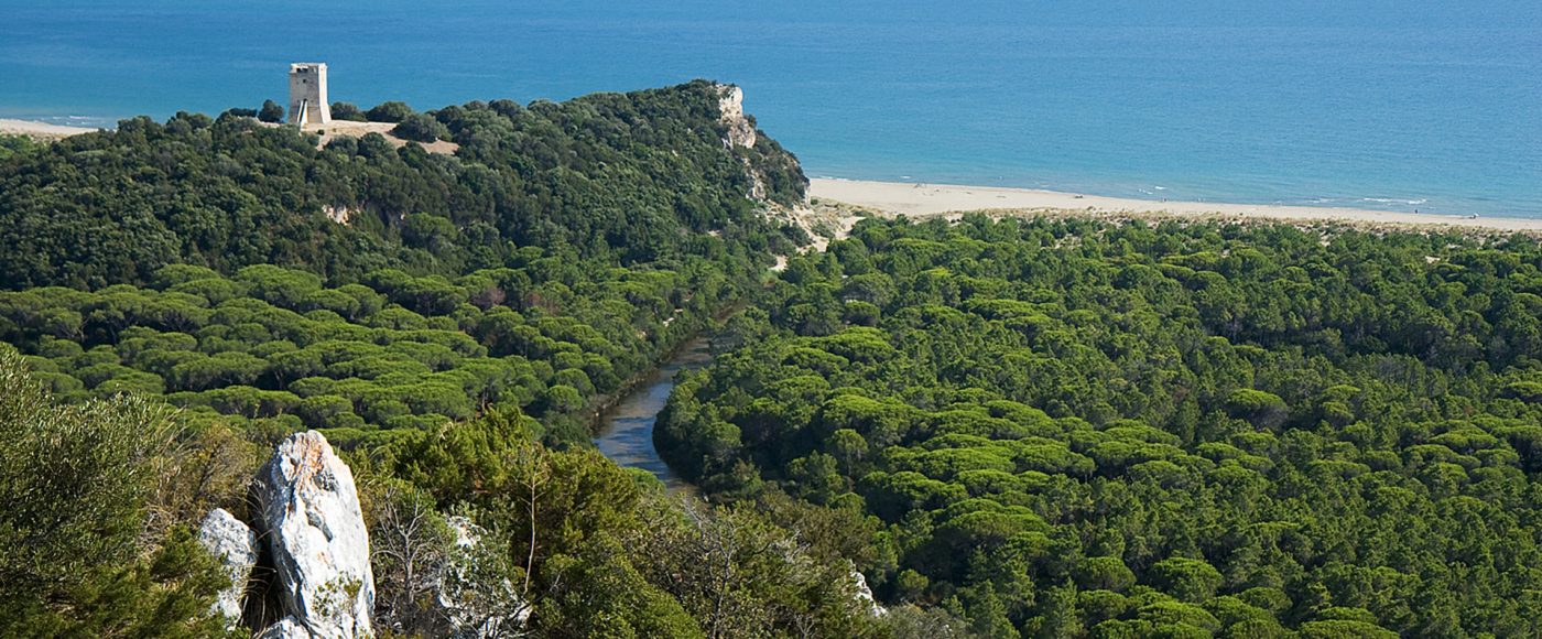 Tour ad hoc: cosa vedere in Maremma